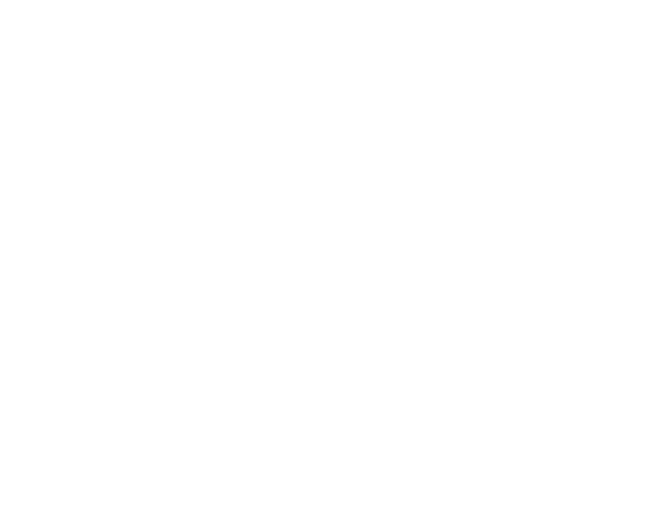 Ben Laube Homes