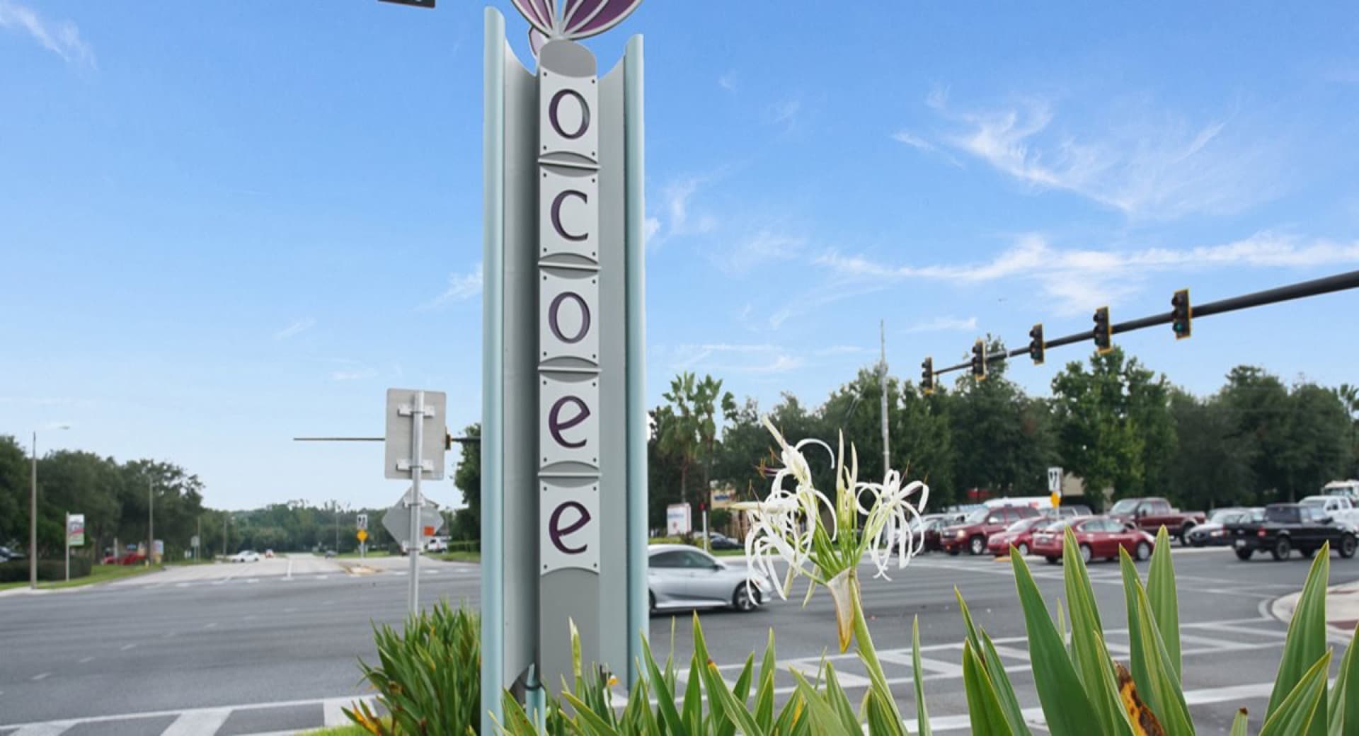 Ocoee homes